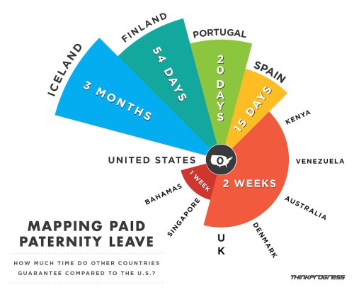 Rose diagram of paternity leave in different countries