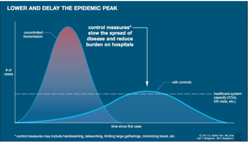 A graph showing two curves and a dotted line representing the healthcare system's capacity running horizontally. One curve rises high above that line and peters out quickly; the other is a longer curve that goes on longer but peaks later and just brushes the capacity line. 